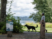 Signs warn visitors of toxic algae blooms at Vancouver Lake on Thursday afternoon. The county is spraying the lake with algaecide in an attempt to prevent a toxic bloom.
