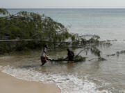 Workers chops a tree uprooted by Hurricane Beryl in St. James, Barbados, Tuesday, July 2, 2024.