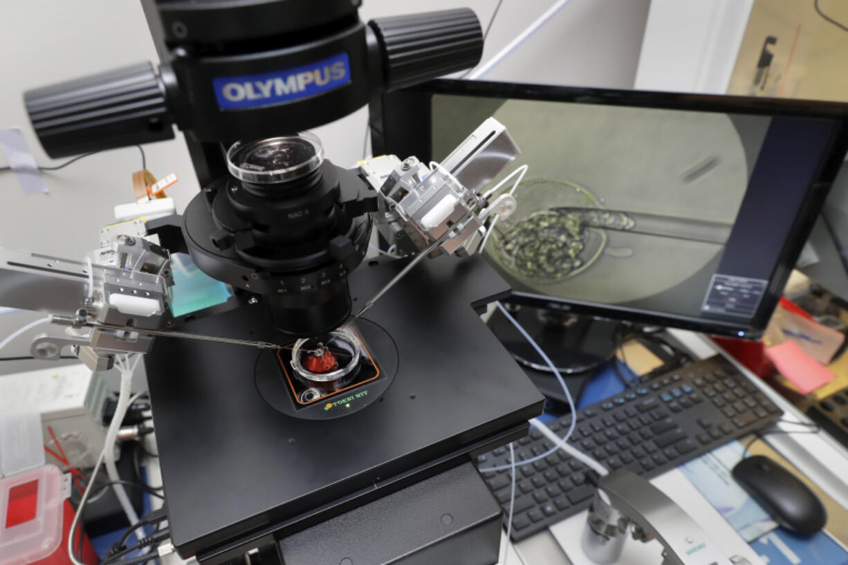 FILE - Lab staff use a microscope stand and articulated hand controls to extract cells from 1-7 day old embryos, shown on the monitor at right, that are then checked for viability at the Aspire Houston Fertility Institute in vitro fertilization lab Feb. 27, 2024, in Houston. According to a new poll from The Associated Press-NORC Center for Public Affairs Research, relatively few Americans fully endorse the idea that a fertilized egg should have the same rights as a pregnant woman. But a significant share &ndash; 46% -- say it describes their views at least somewhat well.