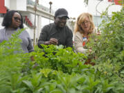 Bella McGowan, right, works at a community garden April 13 with local residents Rico De Rixey, center, and his wife, Geraldine Brand, in Los Angeles. McGowan, a master gardener and horticultural therapist, started volunteering four years ago after retiring from her job as a school psychologist.