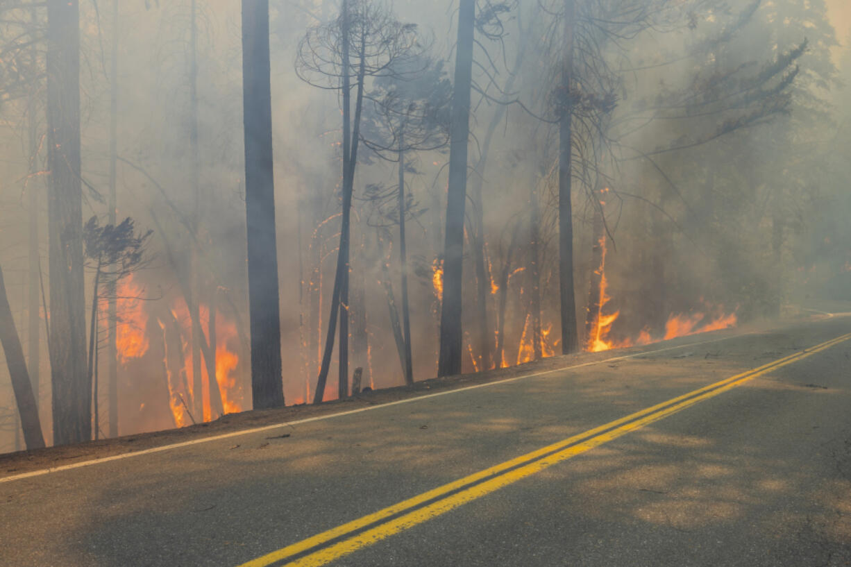 The Park Fire burns along Highway 32 near Forest Ranch, Calif., Sunday, July 28, 2024.