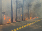 The Park Fire burns along Highway 32 near Forest Ranch, Calif., Sunday, July 28, 2024.