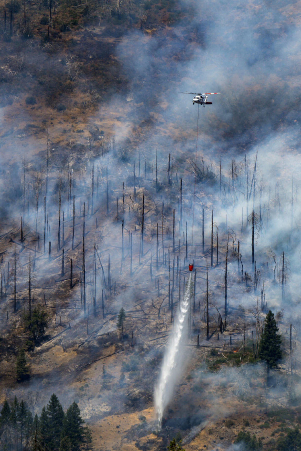 A helicopter drops water on the Park Fire near Butte Meadows, Calif., Tuesday, July 30, 2024.