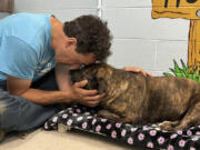 In this image provided by Skylar Sojka, shelter manager at Giles County, Va., Animal Shelter, Jesse Rochette embraces with Sparsy at the shelter in Pearisburg, Va. A group of cavers, including Rochette, who were exploring in western Virginia over the weekend rescued the dog that the Giles County shelter is calling a &ldquo;living miracle&rdquo; after she was found 40 to 50 feet down in a cave.