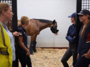 Claire Gallagher of the Dutta Corporation, left, and U.S. Olympic Eventing Team staff wait for approval to move a team horse to a cargo stall July 17 at The Ark at John F.