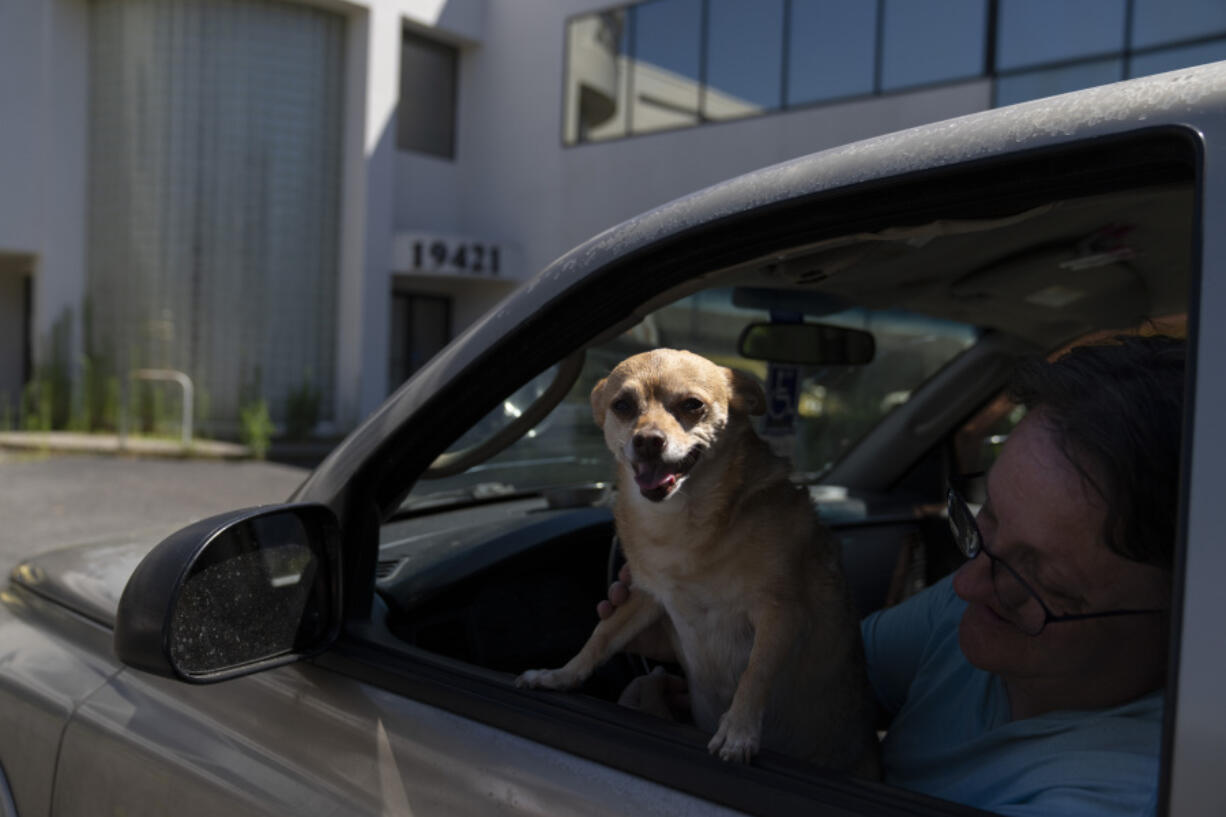 Sherri Thompson, with her chihuahua 14-year-old Kiwahi, waits in her vehicle for the Cook Plaza cooling center to open on Friday, July 5, 2024, in Gresham, Ore. Thompson has lived in her car for three years, and can only run its air conditioning for about 20 minutes at a time as it causes the engine to overheat. A heat wave is spreading across Wester U.S., the national Weather Service said, sending many residents in search of a cool haven from the dangerously high temperatures.