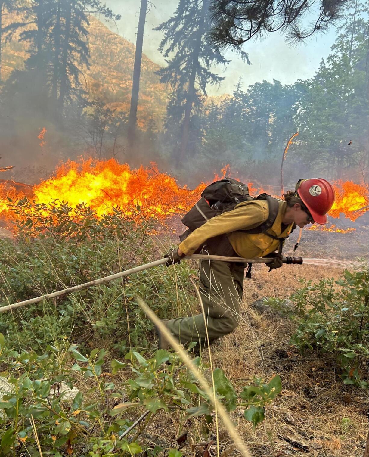 A firefighter pulls a hose with the Pioneer Fire burning in the background.