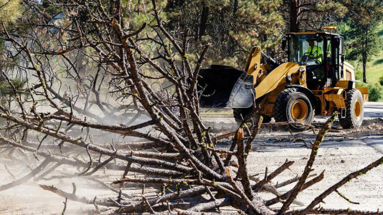 The Idaho Transportation Department has had to remove dead trees that posed serious hazards to drivers along state Highway 55. (sarah a.