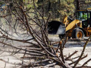 The Idaho Transportation Department has had to remove dead trees that posed serious hazards to drivers along state Highway 55. (sarah a.