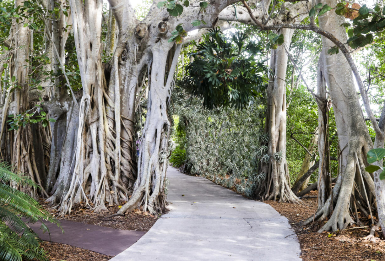 Sarasota&rsquo;s Marie Selby Botanical Gardens is on Time magazine&rsquo;s list of World&rsquo;s Greatest Places.