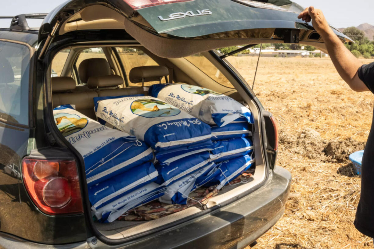 Every day Berkowitz feeds his birds 250 pounds of food, costing him $170 daily.