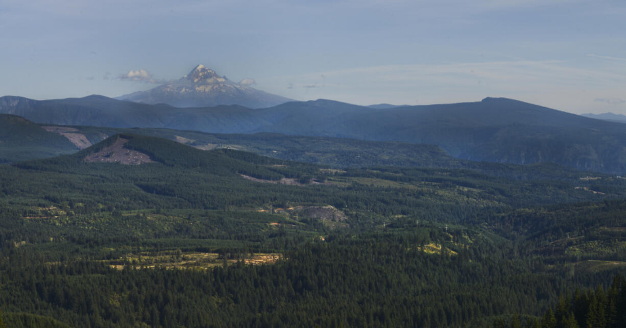 Mount Hood is seen from the Yacolt Burn State Forest. A planned timber sale in the area has environmentalists worried about impacts to spotted owls, other wildlife and climate change.