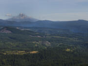 Mount Hood is seen from the Yacolt Burn State Forest. A planned timber sale in the area has environmentalists worried about impacts to spotted owls, other wildlife and climate change.