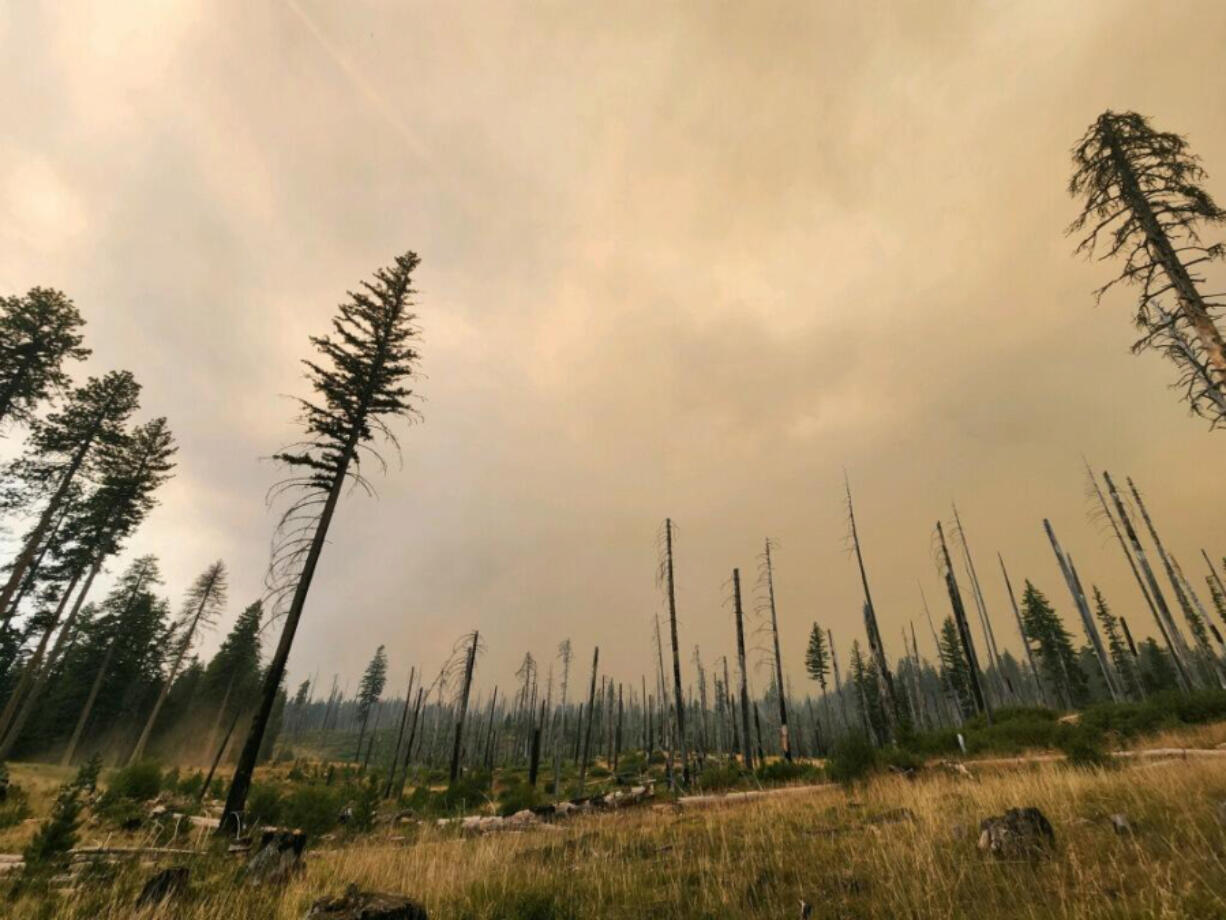 Williams Mine Fire on the southwest flank of Mount Adams in the Gifford Pinchot National Forest continues to grow.