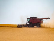 A combine at work in wheat fields in the Walla Walla region, during 2018.