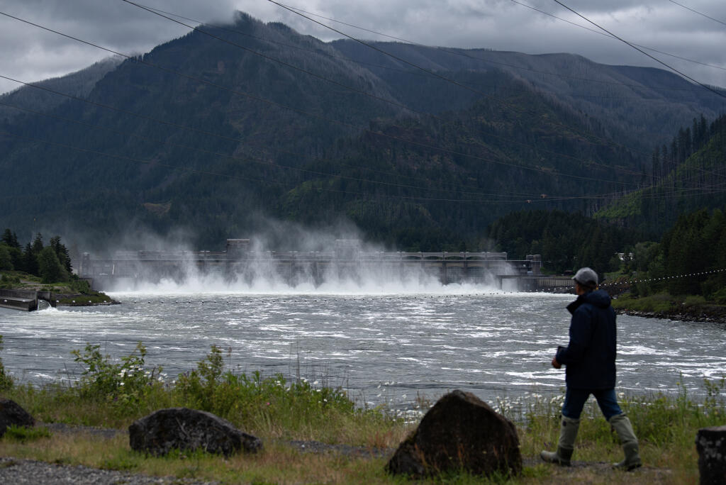 A pedestrian takes in a view of the Bonneville Dam from the Washington side of the Columbia River on Tuesday morning, May 28, 2024.