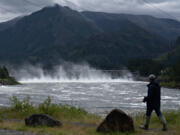 A pedestrian takes in a view of the Bonneville Dam from the Washington side of the Columbia River on Tuesday morning, May 28, 2024.