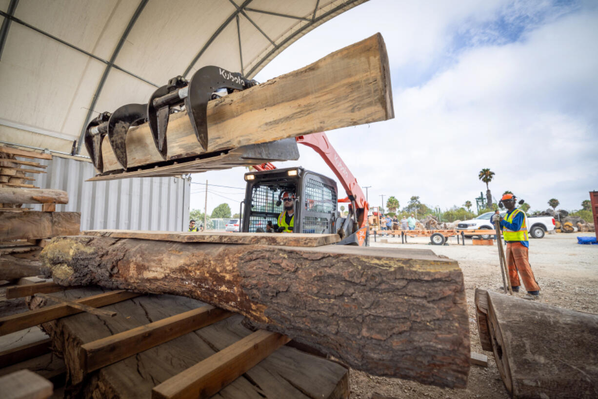 Conservation Corps of Long Beach worker Maurice Lopez, right, watches Tito Leulusoo move a large piece of wood to be stacked at an urban lumber yard at Willow Springs Park on Aug. 7, 2024, in Long Beach, California. (Allen J.