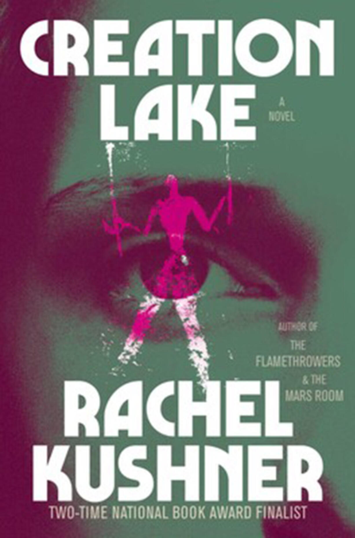 Booker Prize and National Book Award finalist Kushner&rsquo;s latest is about a woman who is lying to everyone about everything. Sadie (not her real name, of course) is a secret agent, sent to France to infiltrate a group of anarchists.