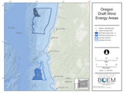 A map of the wind energy areas identified for potential offshore floating wind energy farms.