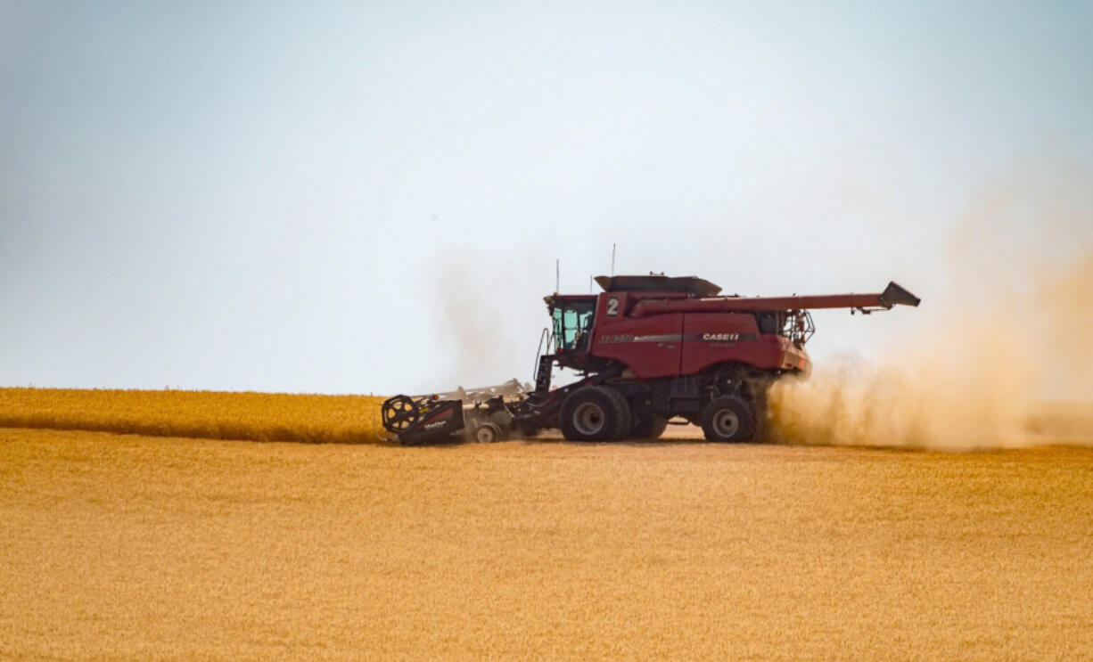 A combine at work in wheat fields in the Walla Walla region, during 2018.