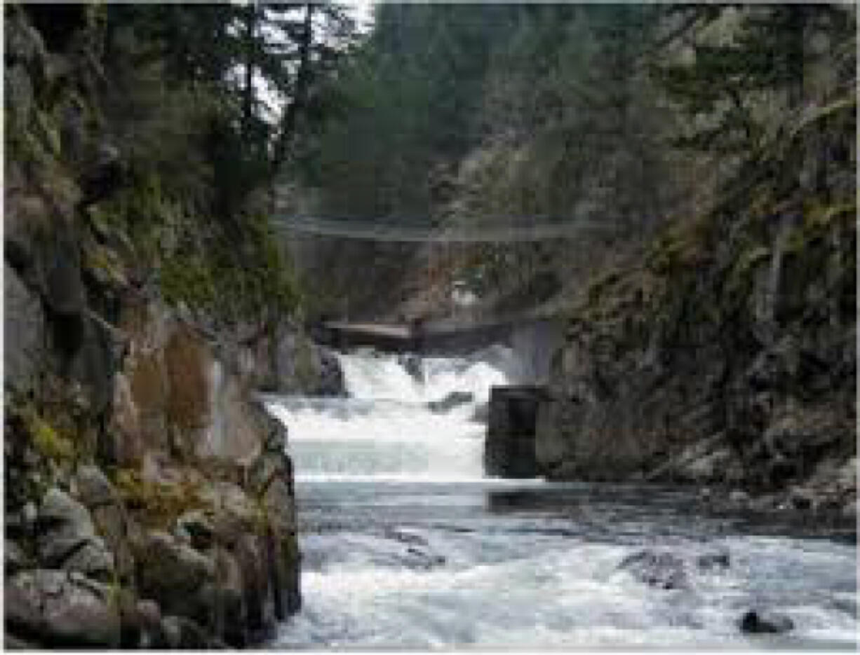 Man found dead below Shipherd Falls in Wind River.