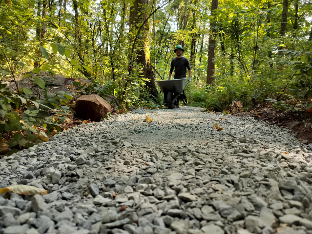 Washington Trails Association volunteer Jared Brown wheels gravel along a newly improved trail in Behrens Woods, a small forest in southeast Vancouver, on July 27.