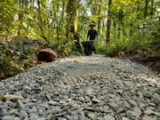 Washington Trails Association volunteer Jared Brown wheels gravel along a newly improved trail in Behrens Woods, a small forest in southeast Vancouver, on July 27.