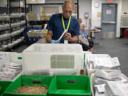 Greg Ericksen of the Clark County Elections Office helps sort through ballots during the primary election on Tuesday afternoon, Aug. 6, 2024.