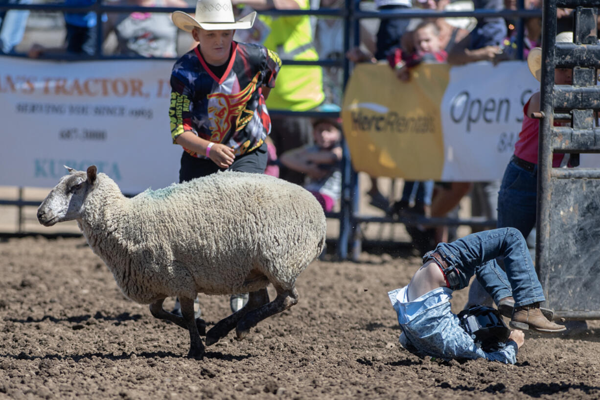 Jaxon Cooper, 5, of Yacolt, right, flips off a sheep while taking a turn during the Monday afternoon&rsquo;s Mutton Bustin&rsquo; preliminary competition at the Clark County Fair. Cooper was not seriously injured in the event.