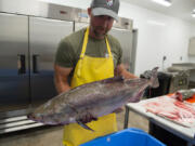 Thomas Scanlan, the Fish Distribution Program manager, processes a load of fresh surplus chinook salmon. The fish are surplus salmon from Washington hatcheries on the Lewis, Cowlitz, Kalama and Washougal rivers.