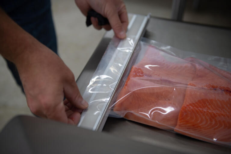 Thomas Scanlan, the newly hired manager of the Cowlitz Indian Tribe fish distribution program, processes a load of fresh chinook salmon, (James Rexroad/for The Columbian)preparing it to be distributed to local Cowlitz Indian Tribe members and shipped to tribal members all over the lower 48 states.