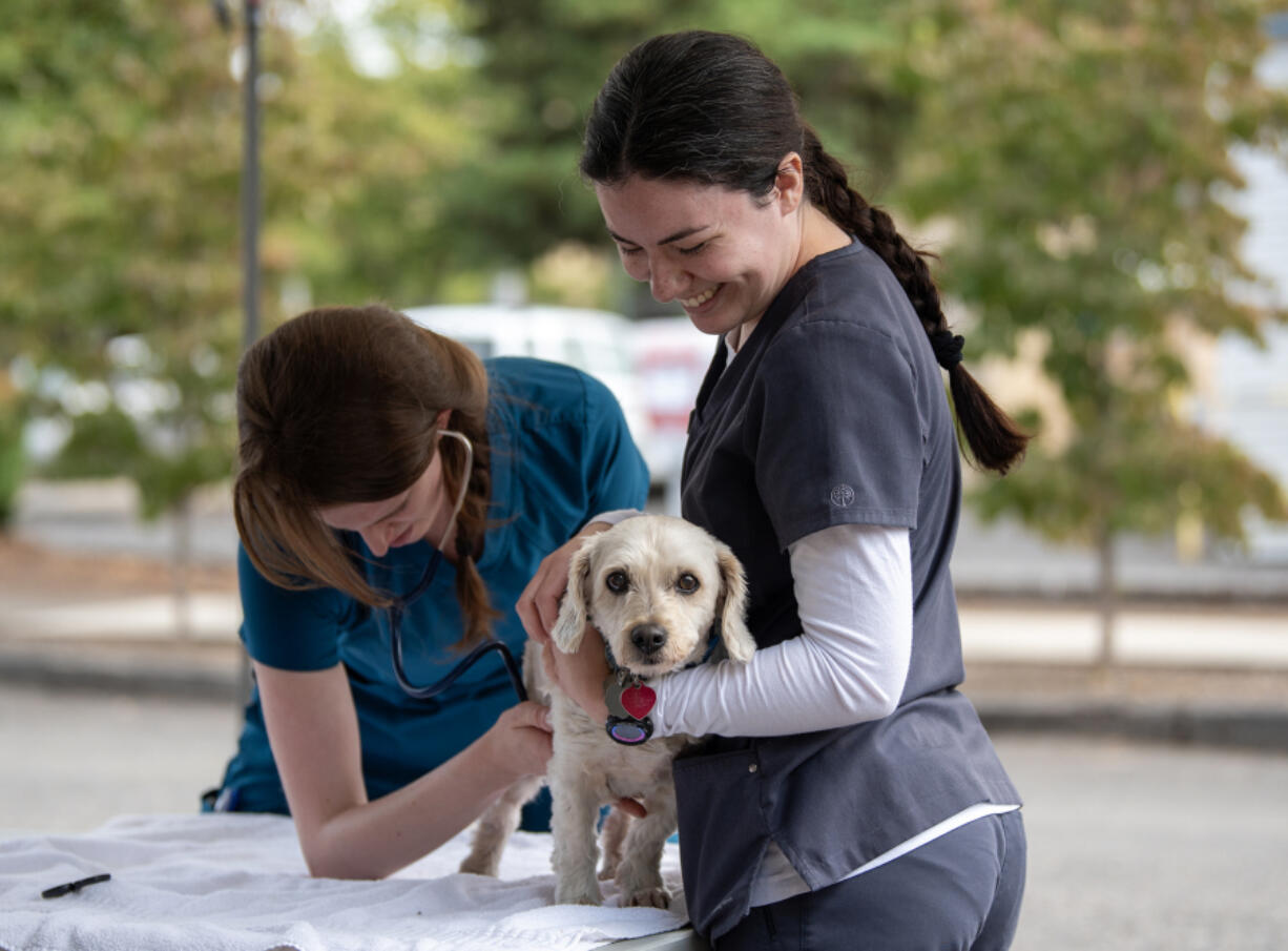 Humane Society for Southwest Washington veterinarian assistant Isabel Chavez, right, holds the dog Butters while Dr. Kayla Harris listens with a stethoscope. The Humane Society participated in a Thursday resource fair at Open House Ministries in downtown Vancouver.