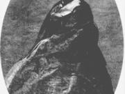 Josette (Legace) Work and her husband wanted their daughters to receive an education, so they entrusted them to the care of the Hudson&rsquo;s Bay Company at Fort Vancouver. It turned out the teacher was a drunkard and predator.