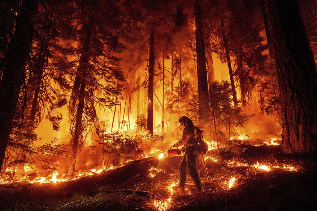 A firefighter uses a drip torch to burn vegetation while trying to stop the Park Fire from near Mill Creek in Tehama County, Calif., on Wednesday, Aug. 7, 2024.