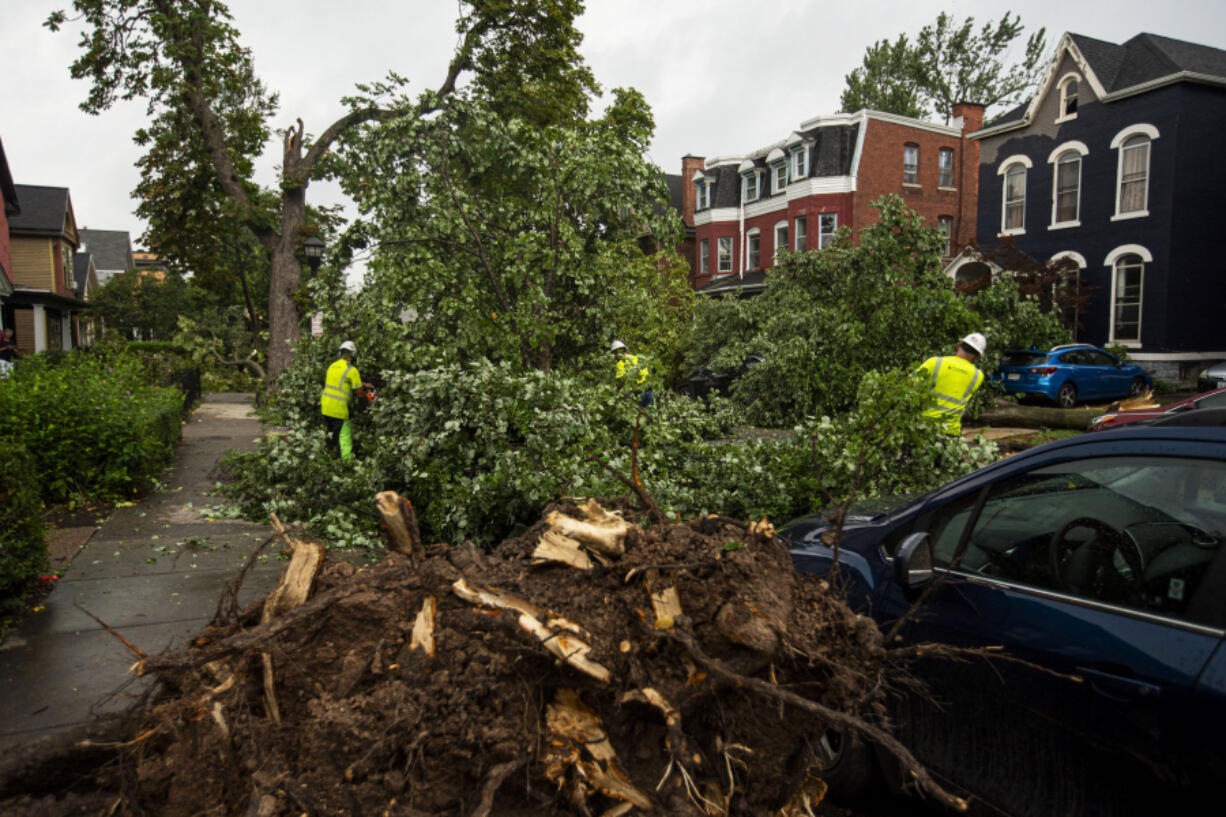 Crews work to remove downed trees covering cars parked along Prospect Avenue on Monday, Aug. 5, 2024, in Buffalo, N.Y.