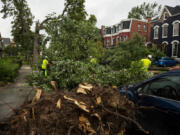 Crews work to remove downed trees covering cars parked along Prospect Avenue on Monday, Aug. 5, 2024, in Buffalo, N.Y.