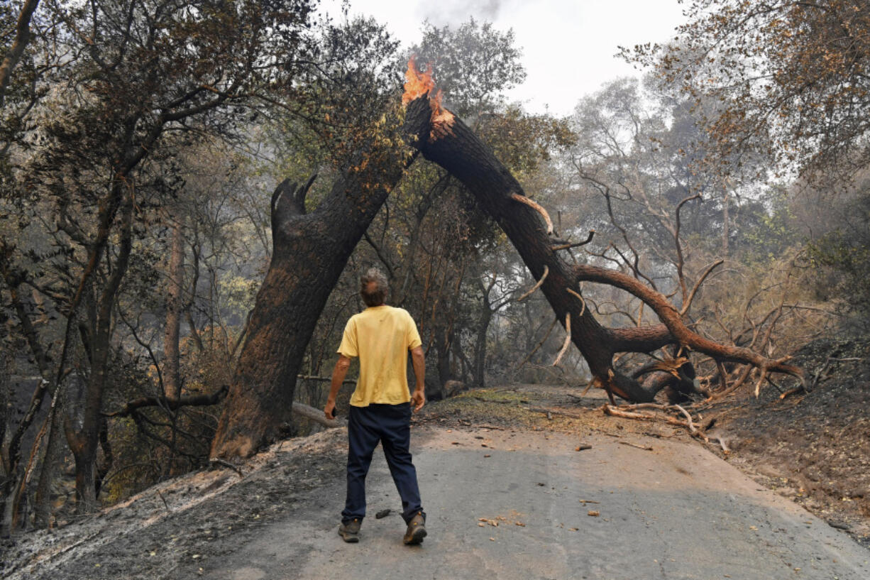 FILE - A man glances up at a tree that is blocking his way while attempting to go home after a fire ravaged the area on Mix Canyon Road in Vacaville, Calif., on Thursday, Aug. 20, 2020.