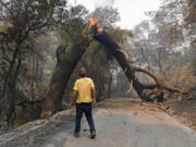 FILE - A man glances up at a tree that is blocking his way while attempting to go home after a fire ravaged the area on Mix Canyon Road in Vacaville, Calif., on Thursday, Aug. 20, 2020.