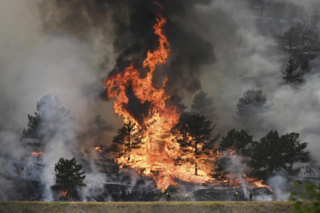 Flames consume trees as the Alexander Mountain Fire burns near Sylvan Dale Ranch late Tuesday, July 30, 2024, west of Loveland, Colo. (Helen H.