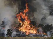 Flames consume trees as the Alexander Mountain Fire burns near Sylvan Dale Ranch late Tuesday, July 30, 2024, west of Loveland, Colo. (Helen H.