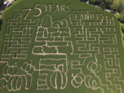 A corn maze celebrating the 75th anniversary of the &ldquo;Peanuts&rdquo; comic strip is seen July 17 at Gull Meadow Farms in Richland, Mich.