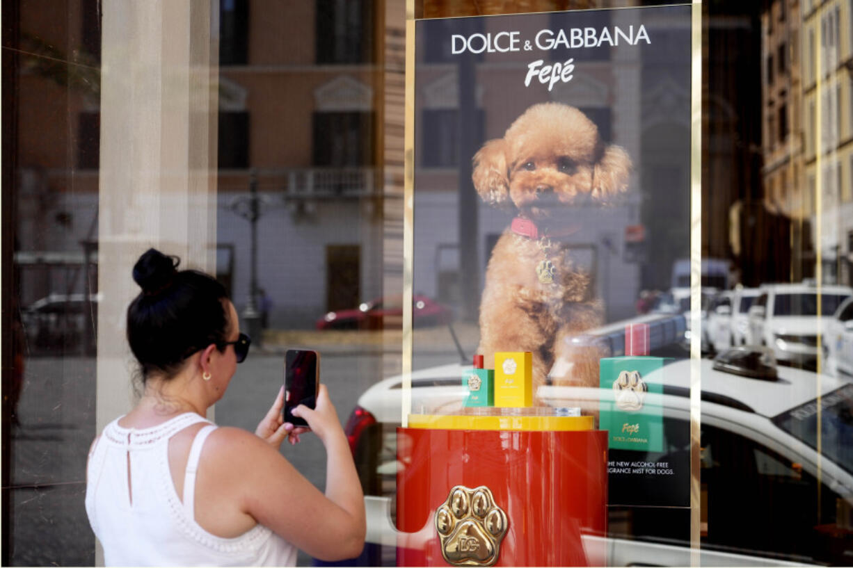 The new Dolce and Gabbana dog perfume called &ldquo;Fefe&rdquo; in honour of Domenico Dolce&rsquo;s dog and released earlier this month is displayed Aug. 6 on the shop window of the fashion brand boutique in Rome. The perfume has been certified suitable for animal use according to the Italian Safe Pet Cosmetics protocol.