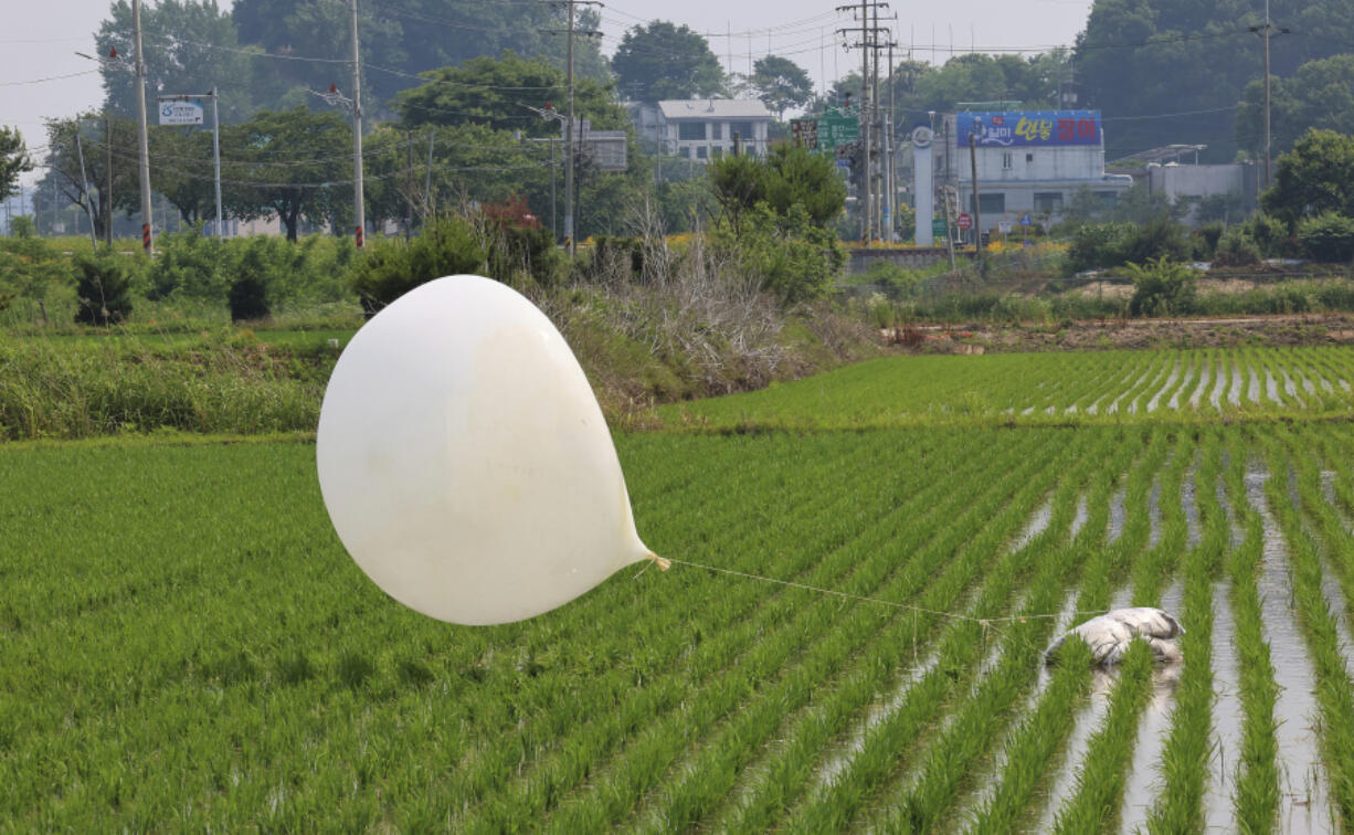 FILE - A balloon presumably sent by North Korea, is seen in a paddy field in Incheon, South Korea, on June 10, 2024.