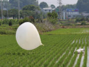 FILE - A balloon presumably sent by North Korea, is seen in a paddy field in Incheon, South Korea, on June 10, 2024.