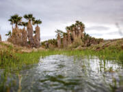 This photo provided by the environmental group Earthjustice shows Ha&rsquo;Kamwe&rsquo;, a sacred spring near Wikieup, Ariz., March 5, 2022.