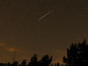 In this long-exposure photo, a streak appears in the sky during the annual Perseid meteor shower at the Guadarrama mountains, near Madrid, in the early hours of Aug. 12, 2016.