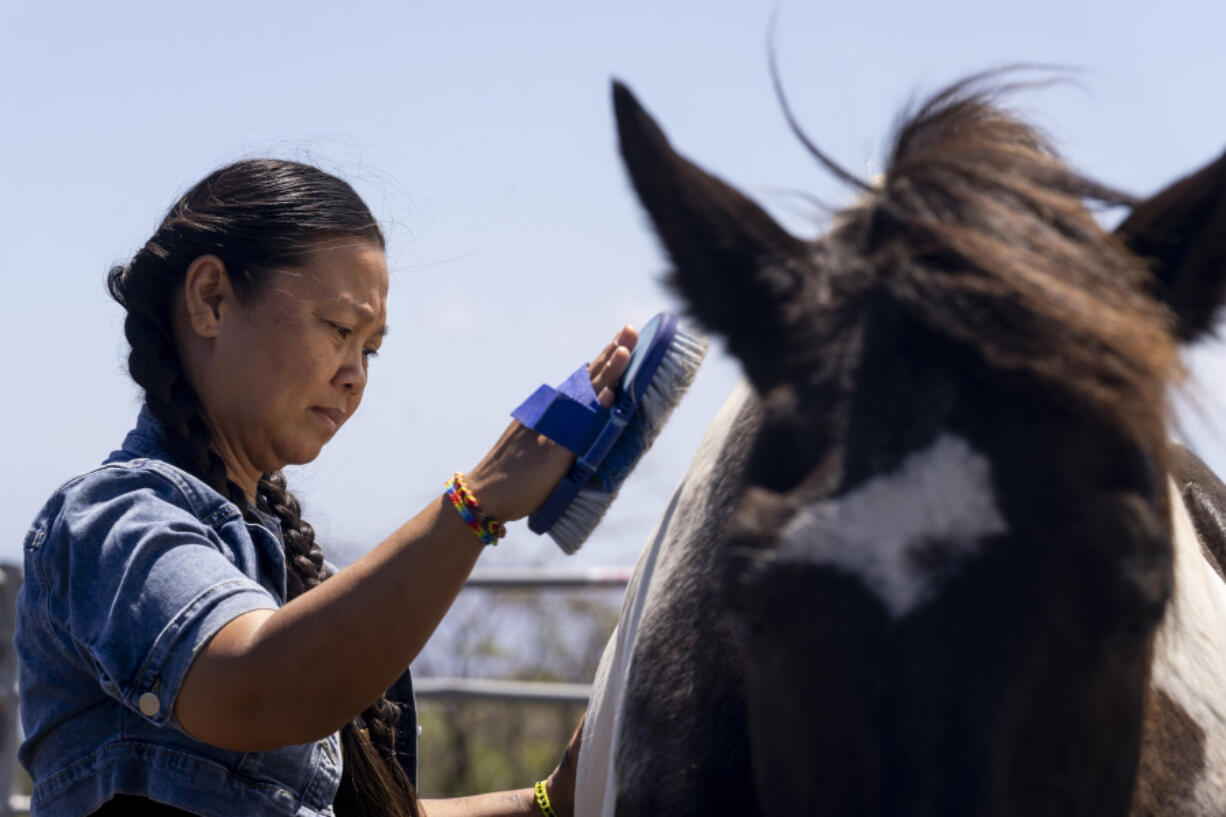 Janice Dapitan brushes a horse named Maverick during a philanthropy-supported equine therapy program at the Spirit Horse Ranch, Tuesday, July 9, 2024, in Kula, Hawaii.