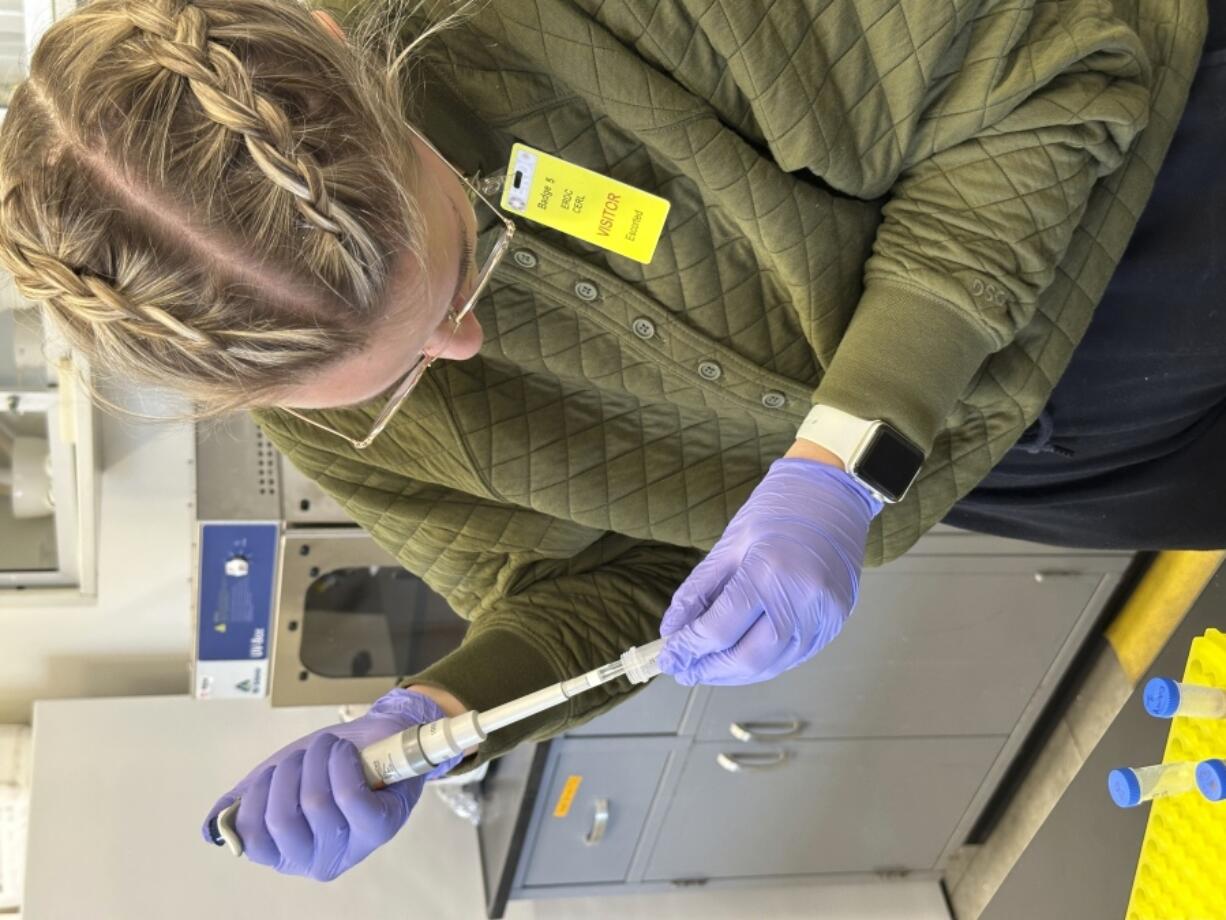 This photo provided by Steve Travers shows Trinity Atkins extracting DNA from a sample of a western prairie fringed orchid on Wednesday, March 6, 2024, at the U.S. Army Construction Engineering Research Laboratory in Champaign, Ill.