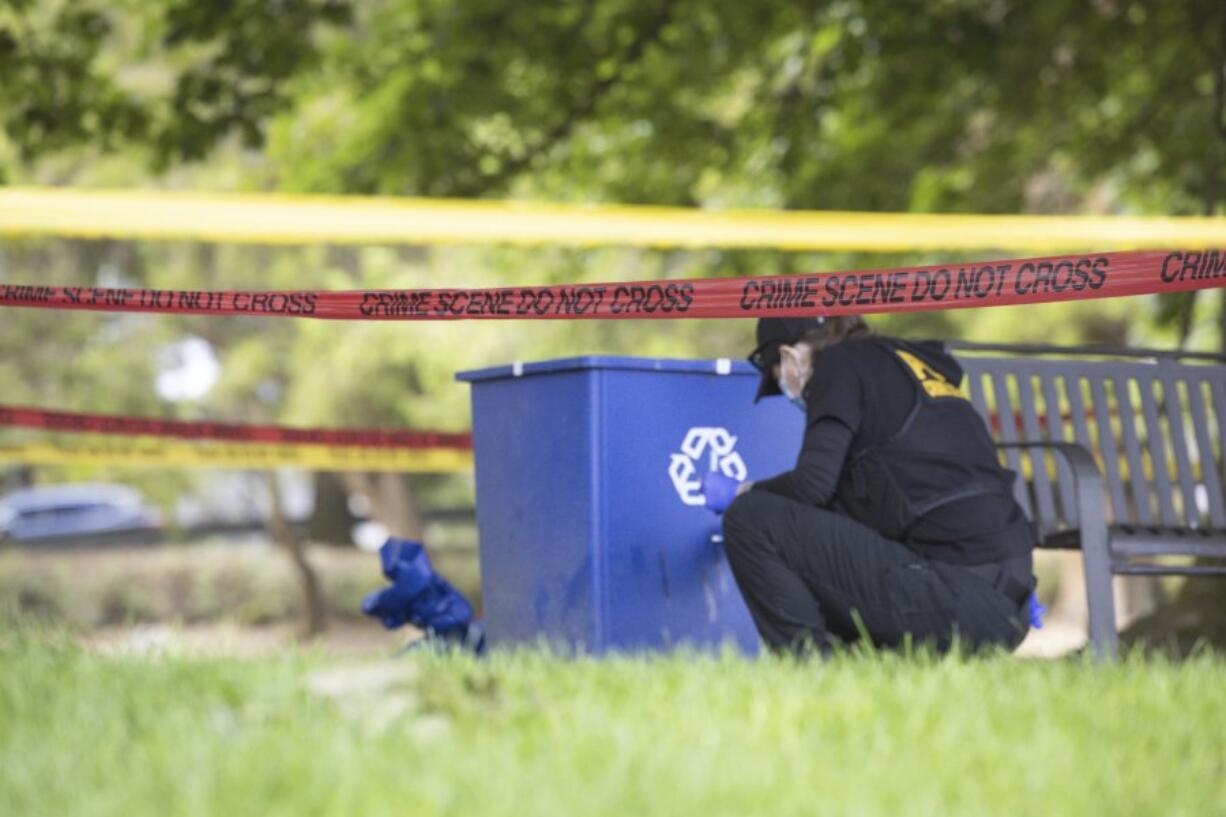 Police investigate the scene where dog walker Ruth Dalton, 80, was reported killed at Brighton Playfield, Tuesday, Aug. 20, 2024, in Seattle.